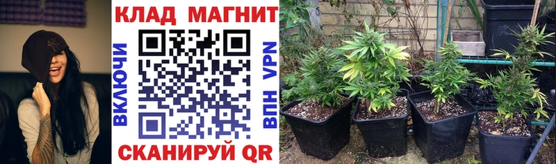 Купить Кокаин МЕФ Амфетамин ТГК Гашиш Майский